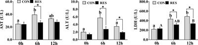 Resveratrol alleviates lipopolysaccharide-induced liver injury by inducing SIRT1/P62-mediated mitophagy in gibel carp (Carassius gibelio)